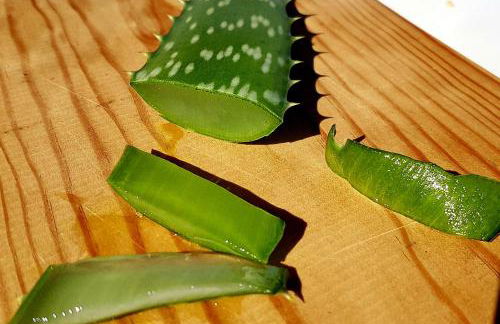 Villa Josephine: Vue magnifique sur mer et montagnes - Photo 30