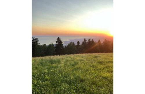 Holiday Apartment Schwärzler - Foto 27