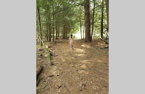 Southwoods Mountain Estate -private mansion, pool, hottub+ 15 acres - Foto 35