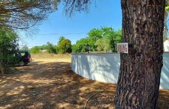 Mas de Plisset - Foto 46