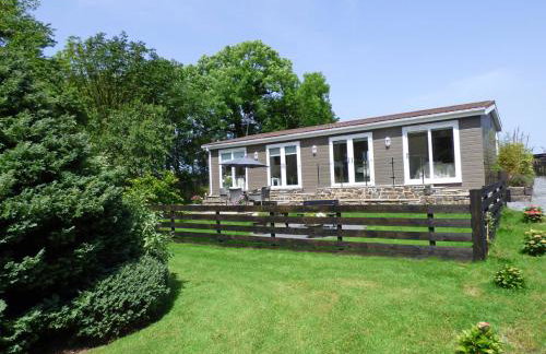 Hafod Y Coed Lodge - Foto 24