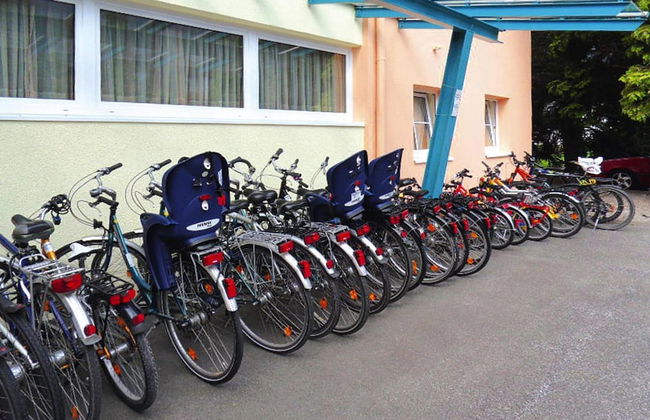 Birkenhof Flats on Lake Millstatt - Foto 17