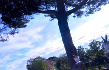 HAUT VILLA MESANGES EN BORD DE MER ! - Foto 67