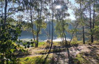 Kleine Freiheit- Nummer 1 - Foto 9