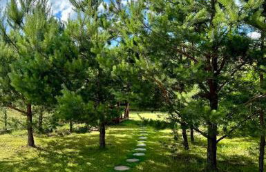 Mazurska Sarenka - Foto 25