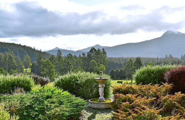 Maydena Mountain Cabins - Foto 46