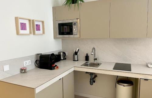 Osito Hub - Florista - Foto 11