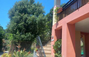 Aerokaria Studio - Foto 23