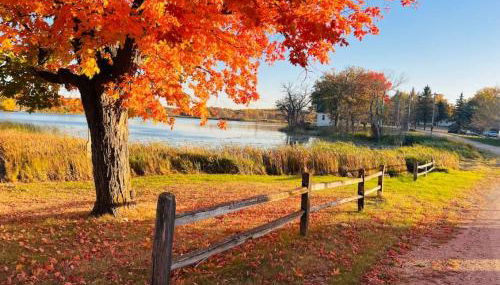 Nature Escape with Studio- Style Rooms Lake View - Foto 3