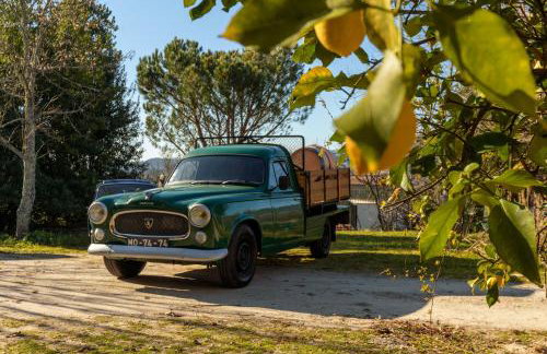 Casa da Eira "Lavoura da Bouça - Fruta Bio" - Foto 8