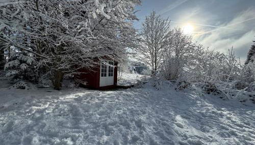 Alpenblick-Hotzenwald - Foto 4