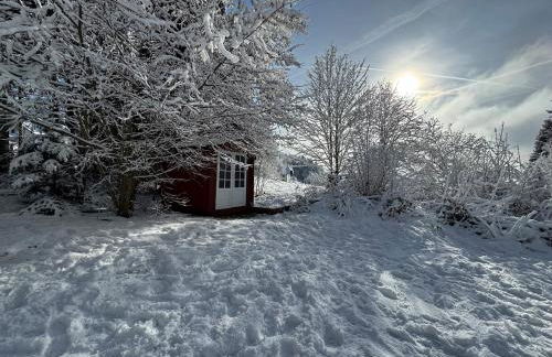 Alpenblick-Hotzenwald - Foto 4