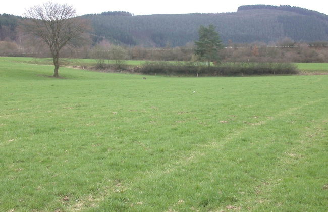 Ardennes Stay for 21 Guests - Photo 39