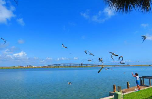 Multi Resorts at Puente Vista - Foto 8