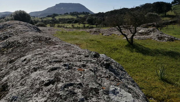 Esploreremo insieme un importante sito archeologico
