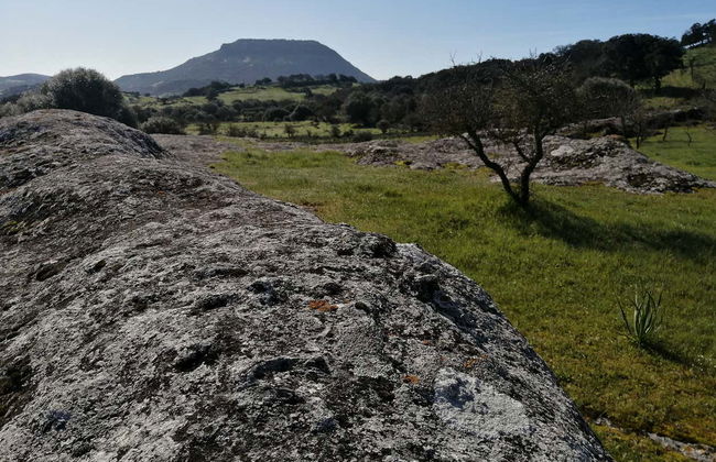 Excursion à la nécropole de Puttu Codinu et Nuraghe Appiu - Photo 3