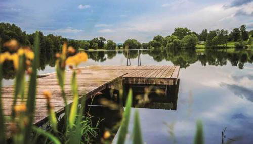 Tiny House Ithblick direkt am See - Foto 5