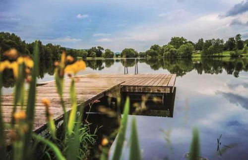 Tiny House Ithblick direkt am See - Foto 6