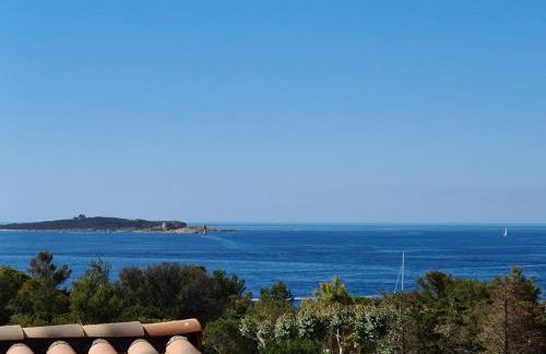 GIEDES Appartement pour 4 personnes avec vue mer face à Porquerolles et piscine situé à Giens - Foto 1