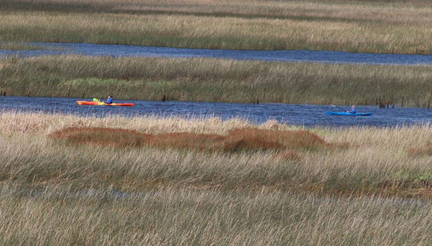 Immerse yourself in nature