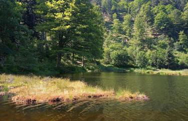Ferienwohnung Hirschkopf - Foto 9