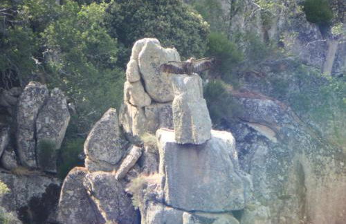 Casa Rural Duas Aguas Arribes - Foto 27