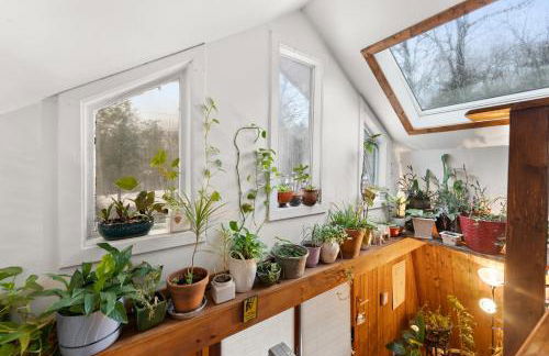 Plant House - Foto 1