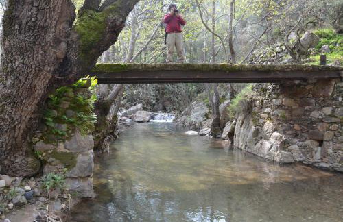Avgonima Chios Spitakia Cottages - Photo 23