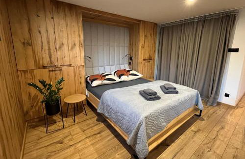 Beskidy Basement Studio - Foto 1