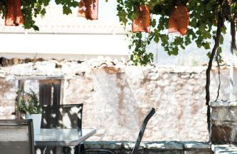 Olive Roots - Foto 4