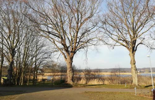 Sellin - Seedorf Am Neuensiener See Apartment 08 - Foto 17