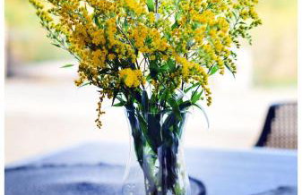 Krzaczasty Zakątek - Foto 52