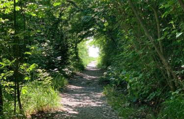 Cottage Wilkenburg - das luxuriöse und idyllische Ferienhaus - Foto 40