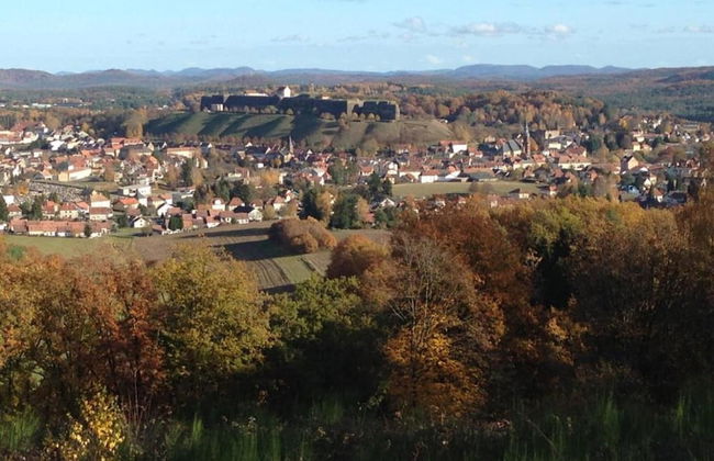 Spacious Stay in Lemberg - Foto 42