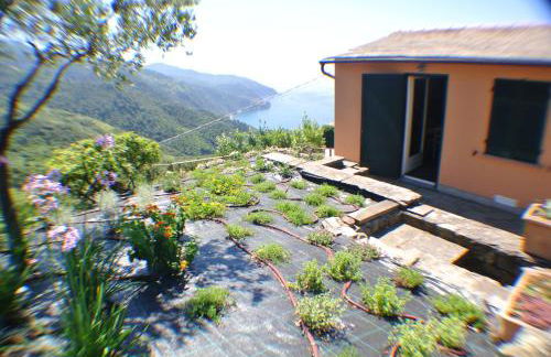 Walk and Relax Retreat - HOMY 5 TERRE - Foto 23