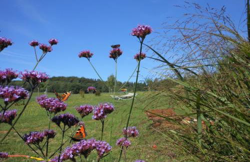 Ferienwohnung Am Eifelsteig, Golbach - Foto 19