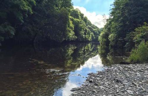 Teifi House - Foto 13