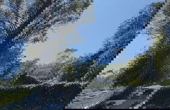 Benito Bungalow by The Serendipity Collection - Photo 41