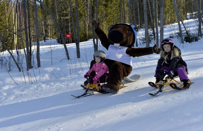 Hassela Ski Resort Cabins - Photo 33