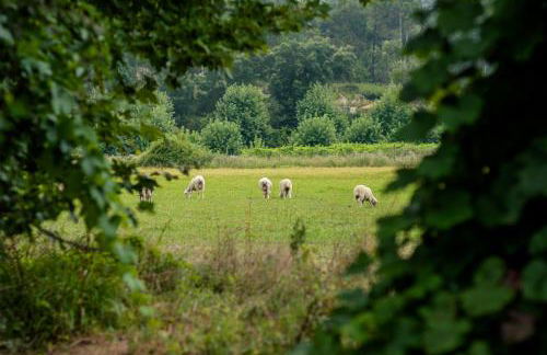 Casa Ponte da Vessada - Foto 14