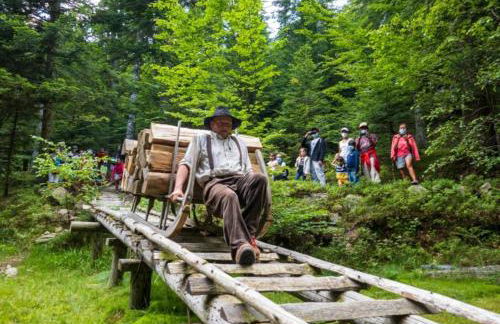 Chalet luxueux avec piscine intérieure - Foto 36