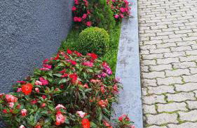 Nosso Loft Encantador em Campos do Jordão - Foto 56