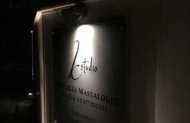 Nea Stira Studios Kondilia - Foto 41