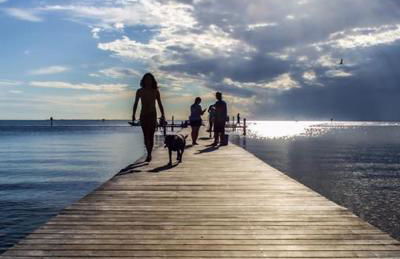 Little Harbor Resort #116 Tampa Bay Florida Beach Bayview - Foto 19