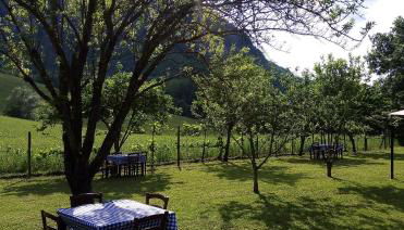 Agriturismo I Fondacci - Foto 5, Garden