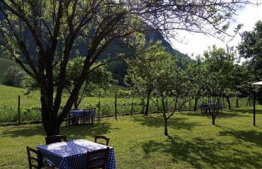 Agriturismo I Fondacci - Foto 5