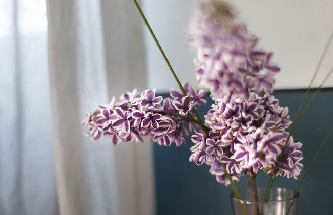 Ca' Matilde - Photo 5