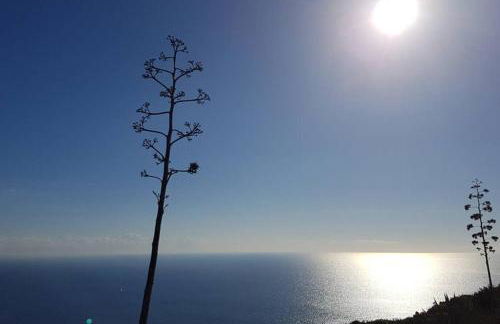 Suite Milù - Foto 41