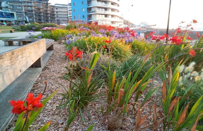 Westward HO Horizon View 17 2 Bedrooms - Foto 26