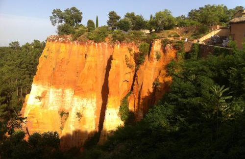 Cabane bambou - Photo 18